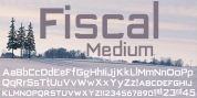 Fiscal font download
