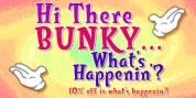 Bunky font download