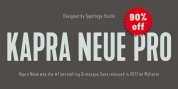 Kapra Neue Pro font download
