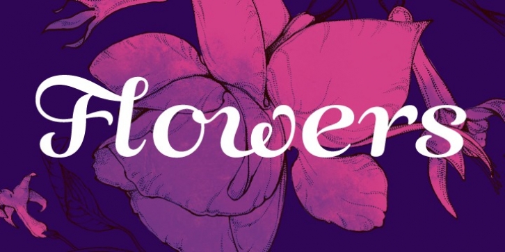 ALS Fuchsia font preview