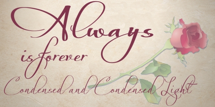 Always font preview