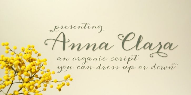 Anna Clara font preview