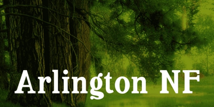 Arlington NF font preview