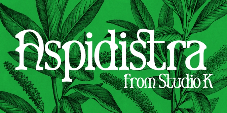 Aspidistra font preview