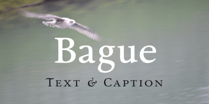 Bague font preview