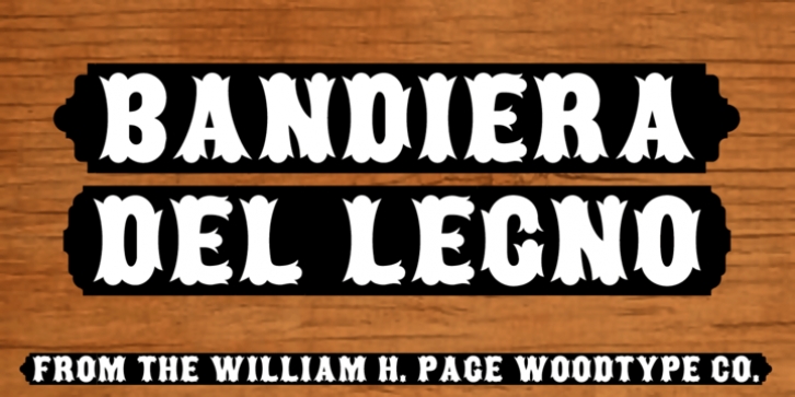 Bandiera Del Legno NF font preview