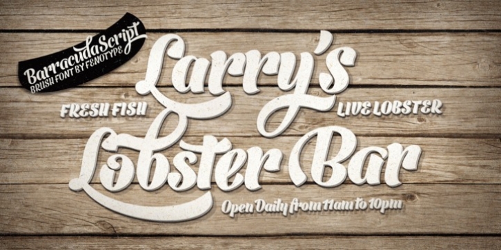 Barracuda Script font preview