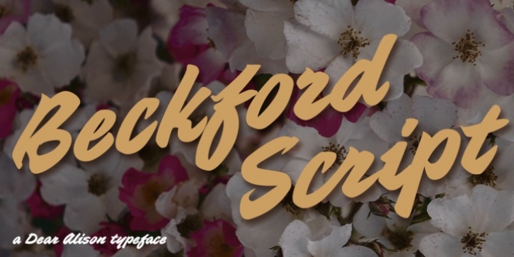 Beckford Script font preview
