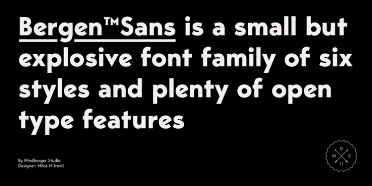 Bergen Sans font preview