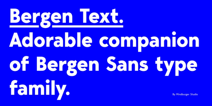 Bergen Text font preview