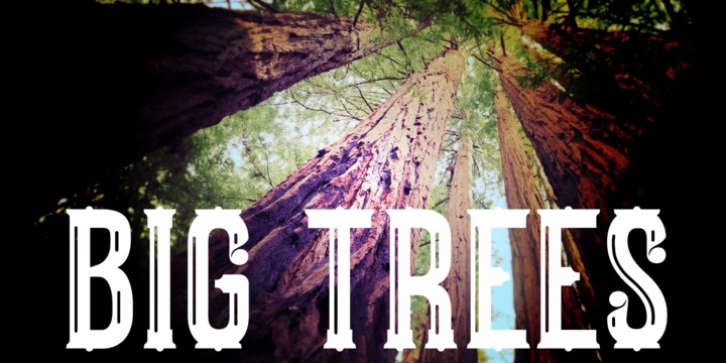 Big Trees font preview