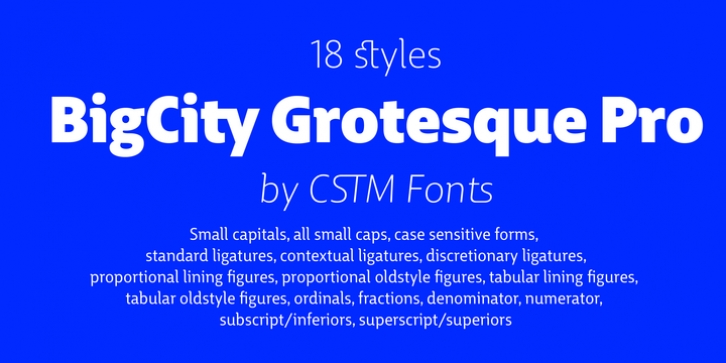 BigCity Grotesque Pro font preview