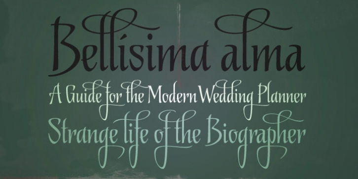 Biographer font preview