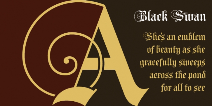 Black Swan BF font preview