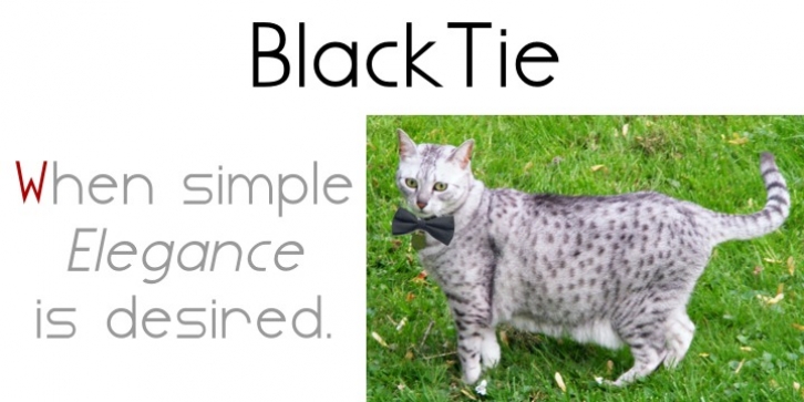 Blacktie font preview