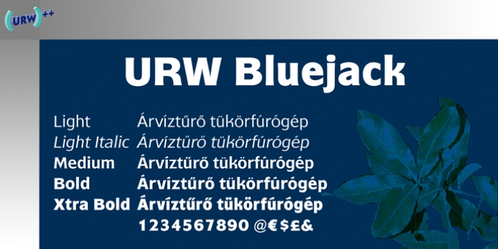 Bluejack font preview