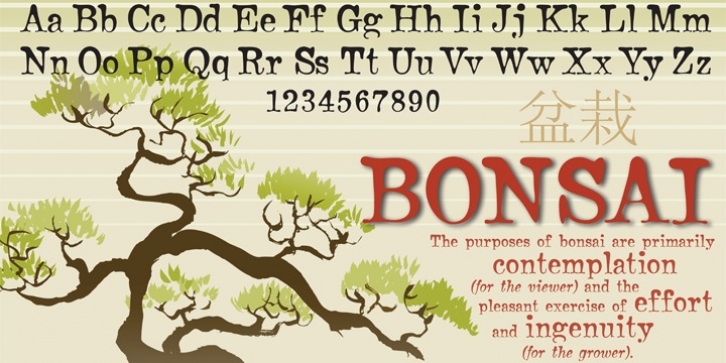 Bonsai font preview