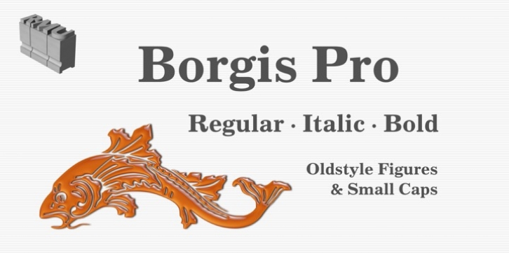 Borgis Pro font preview