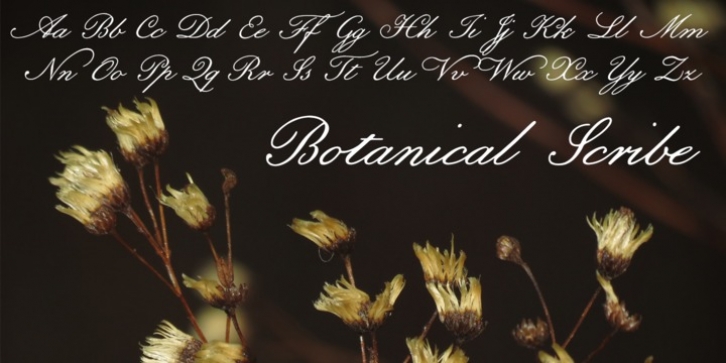 Botanical Scribe font preview