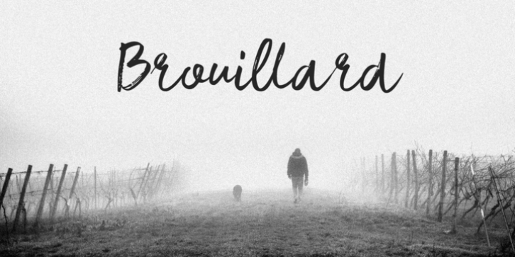 Brouillard font preview