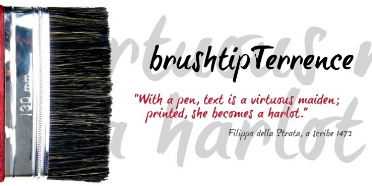 brushtipTerrence font preview