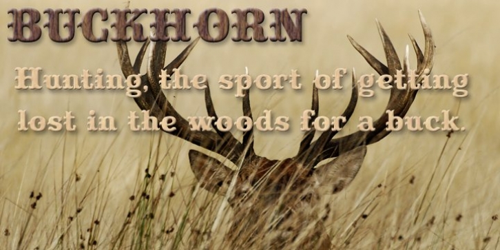 Buckhorn font preview