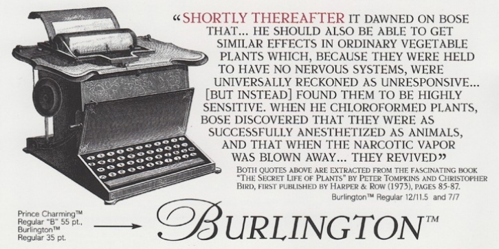 Burlington font preview