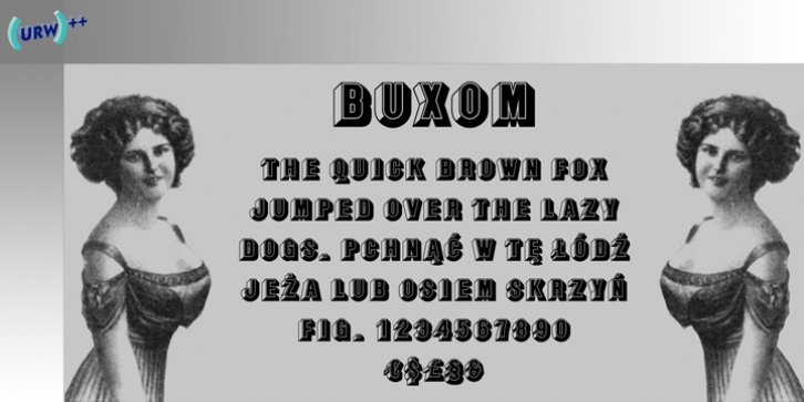 Buxom font preview