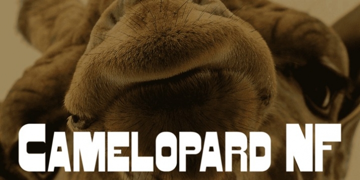 Camelopard NF font preview