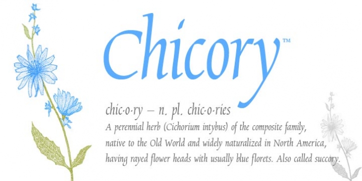 Chicory font preview