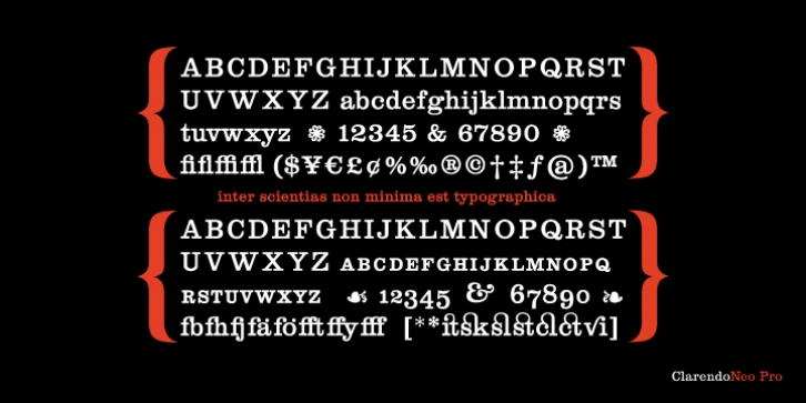 ClarendoNeo Pro font preview