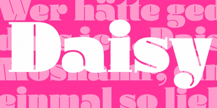 Daisy font preview