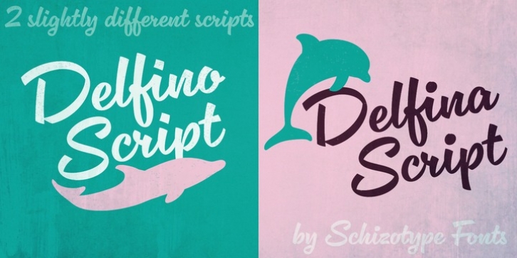 Delfino Script font preview
