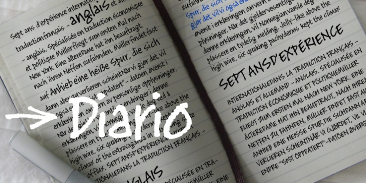 Diario font preview