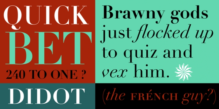 Didot font preview