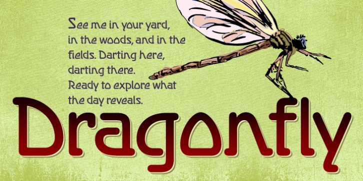 Dragonfly BF font preview