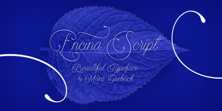 Encina Script font preview