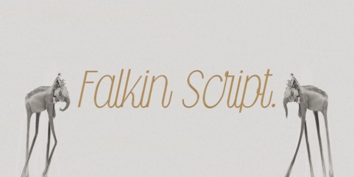 Falkin Script font preview