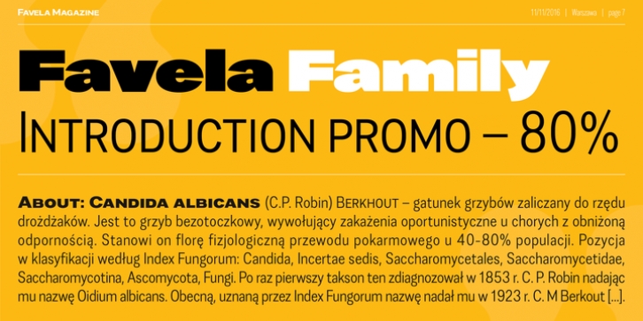 Favela font preview