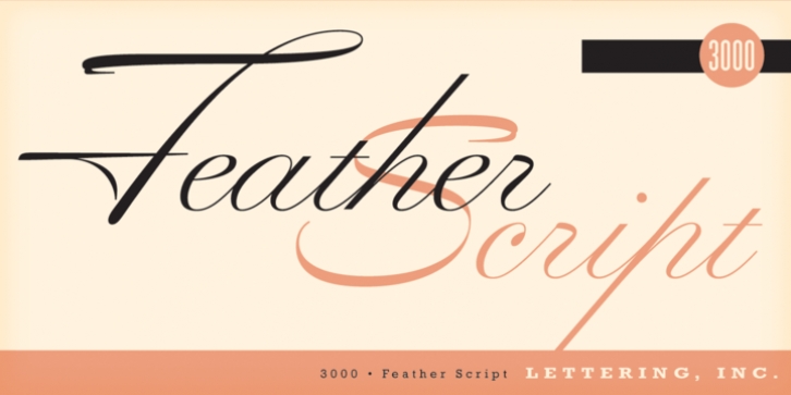 Feather Script font preview