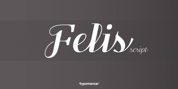 Felis Script font preview