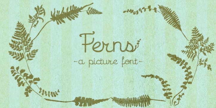 Ferns font preview