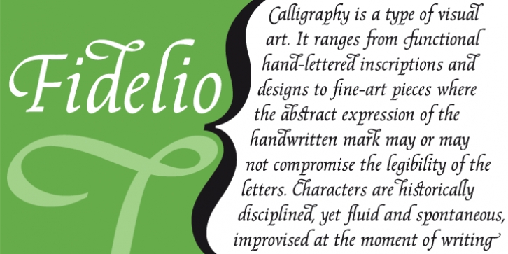 Fidelio ND font preview
