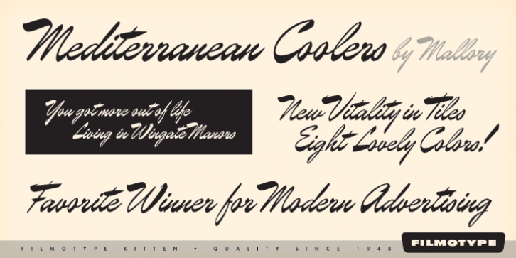 Filmotype Kitten font preview