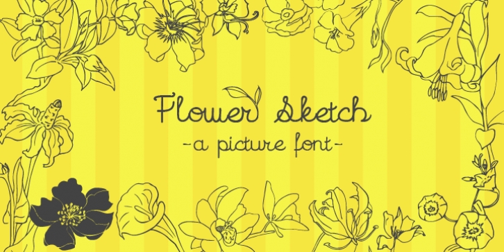 Flower Sketch font preview
