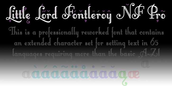 Fontleroy NF Pro font preview