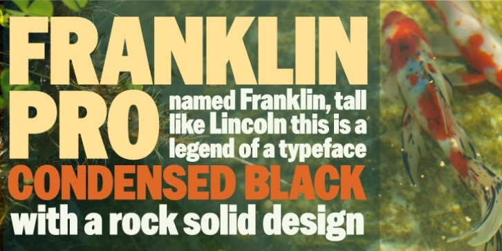 Franklin Gothic Pro font preview