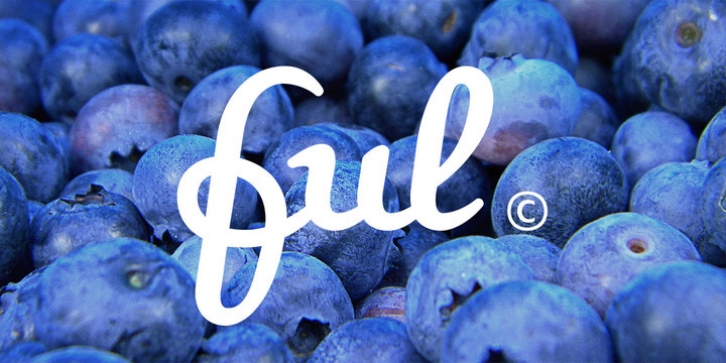 Ful • Fruitful & Universal Labels font preview