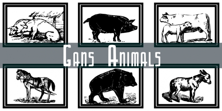 Gans Animals font preview