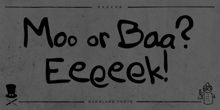 Haakke font preview